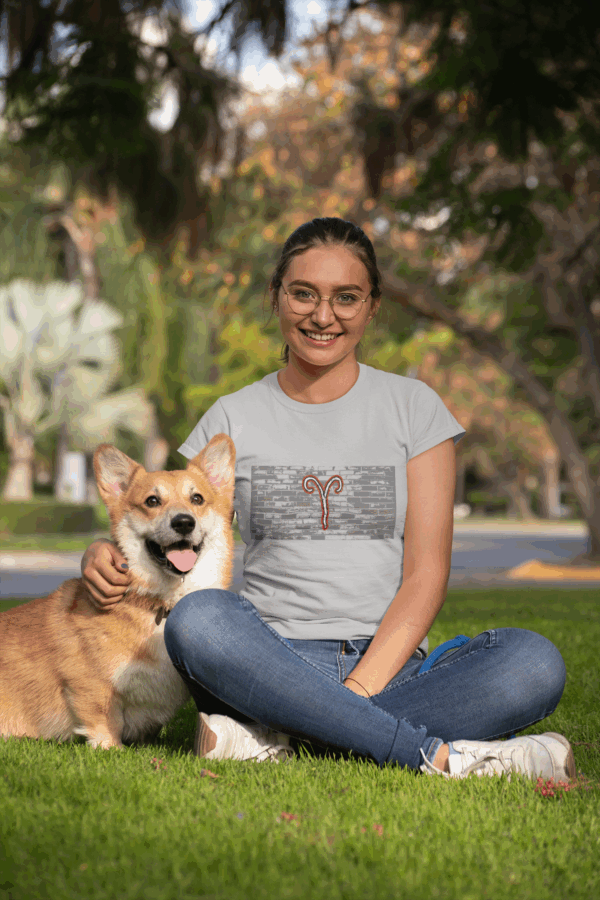 Grunge Brick Wall Aries Fire Unisex Softstyle T-Shirt - Image 3
